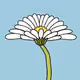 Flowers_space - old