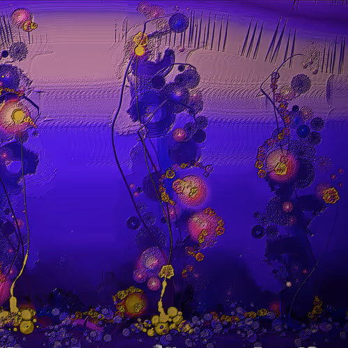 Flowers and marine emotions - old