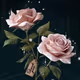 Flowers by Dymz