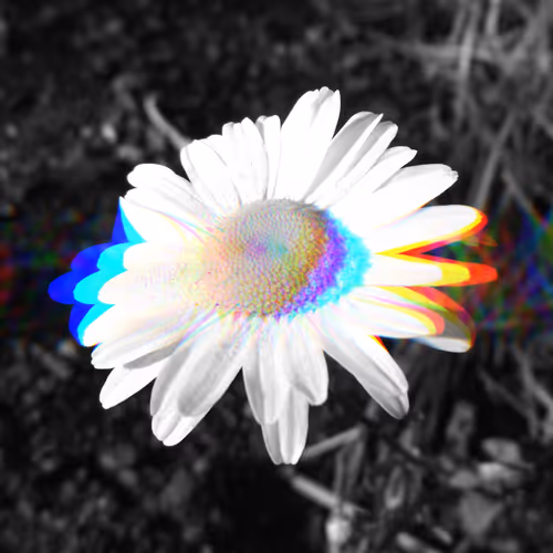 Flower Vibes