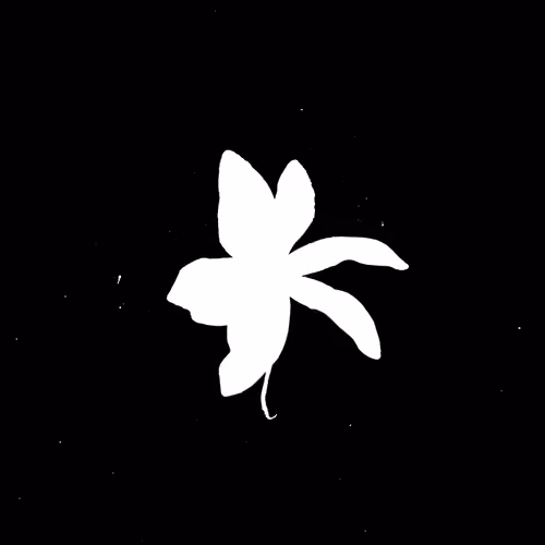 Flowery in the space