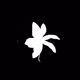 Flowery in the space