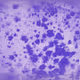 Flowing Landscapes