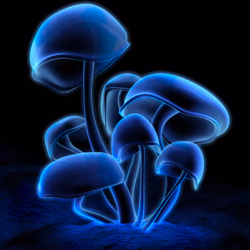 Fluorescence [6] (2000)
