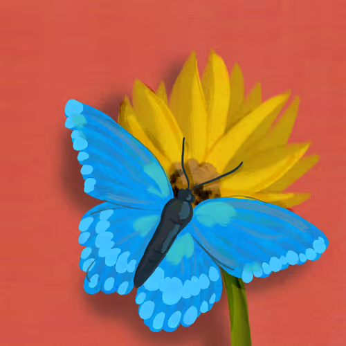 Fluttering in the Garden - old