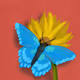 Fluttering in the Garden - old