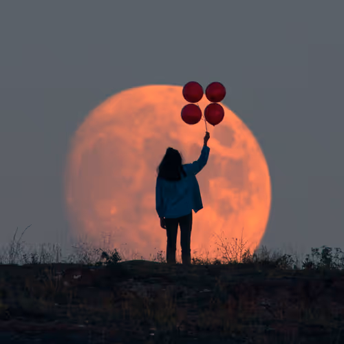 Fly me to the Full Moon - old - old - old