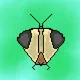 Flyie