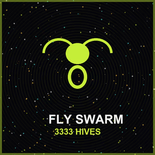 FLY SWARM LAB