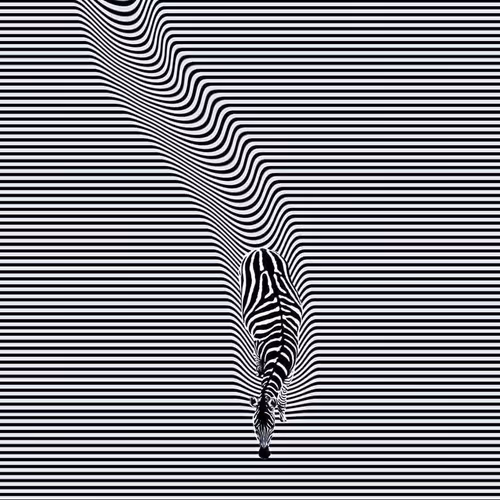 Finding New Way