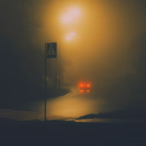 Fog in wonderland