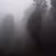 Fog photography.