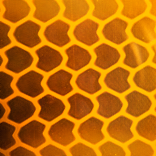 FOR THE LOVE OF MACRO
