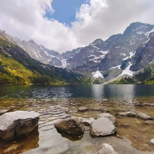 Forest in the Mountains - old