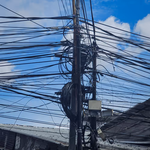 Forest of Wires