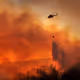 & Forest fire & - old