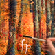 ForestPaintings