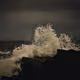 Forms of Motion - old