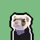Fortune Ferrets