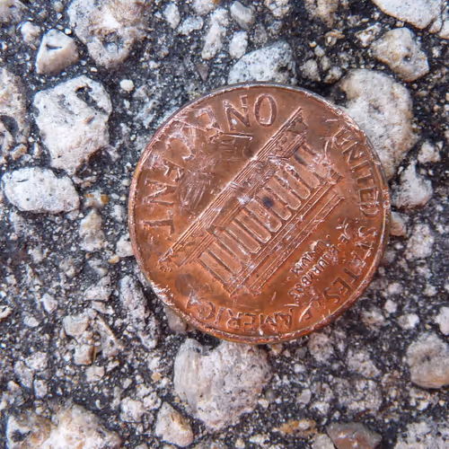 Found Objects. 2012