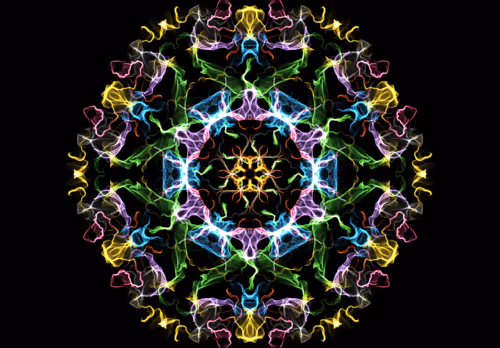 Four-forces-Art Collection - old V2