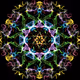 Four-forces-Art Collection - old V2