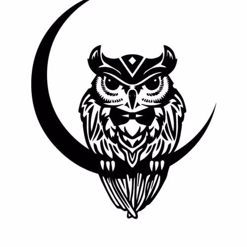 Night Owl Gallery