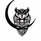 Night Owl Gallery