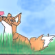 Fox in the grass