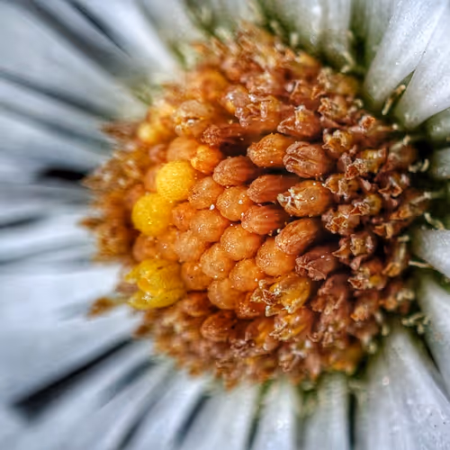 Refreshing World Through my Lens