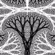 Fractacles