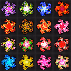 Fractal Flower Collection - old