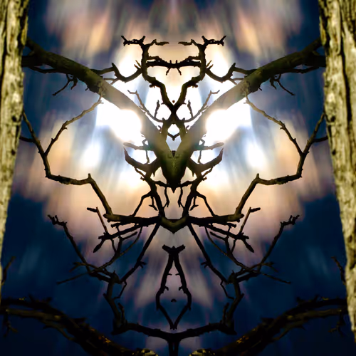 Fractal Photograph - old