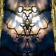 Fractal Photograph - old