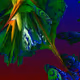 Fractals Random