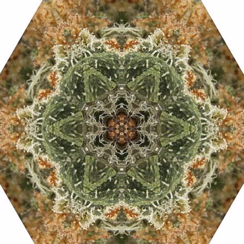 Fractalstrains