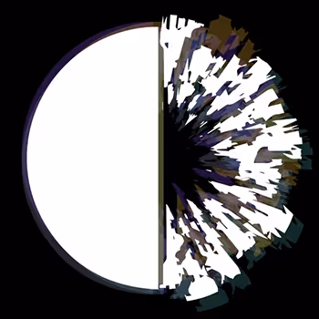 Fraction Token