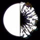 Fraction Token