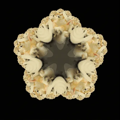Fractionalized Doge Fractals - old