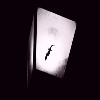 Fragments of memories come back up