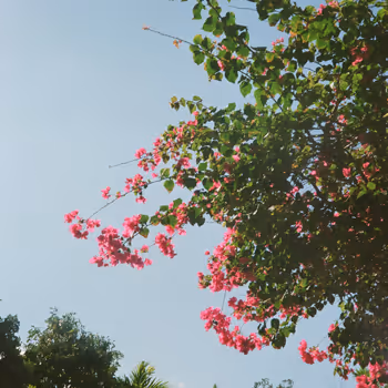 fragments of time Collection