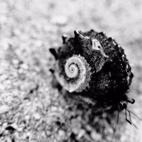 Fragments of past and present