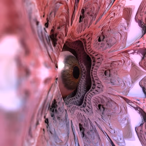 The fractal eye