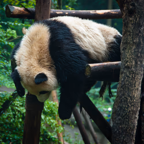 Frames of Time - old