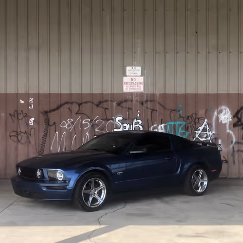 Stang Gang