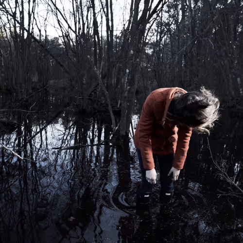 Photography by Franki - old