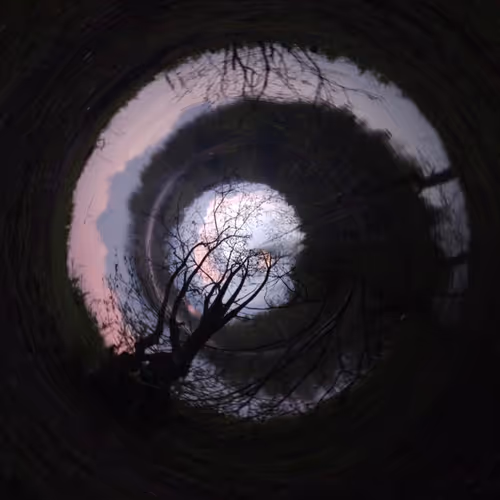 Freaky forms of the Nature