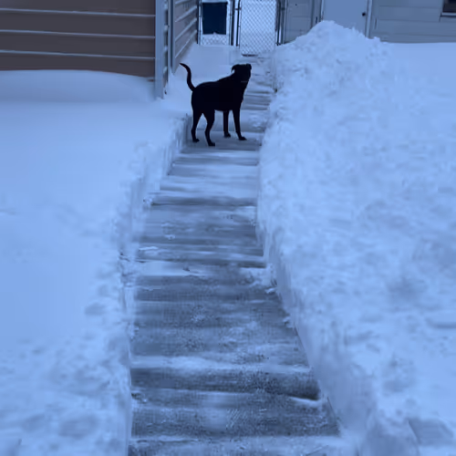 People buy worst crap