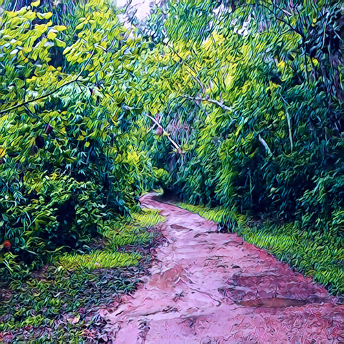 Freedom of perspective.