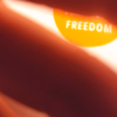 "Freedom Glitch" Collection